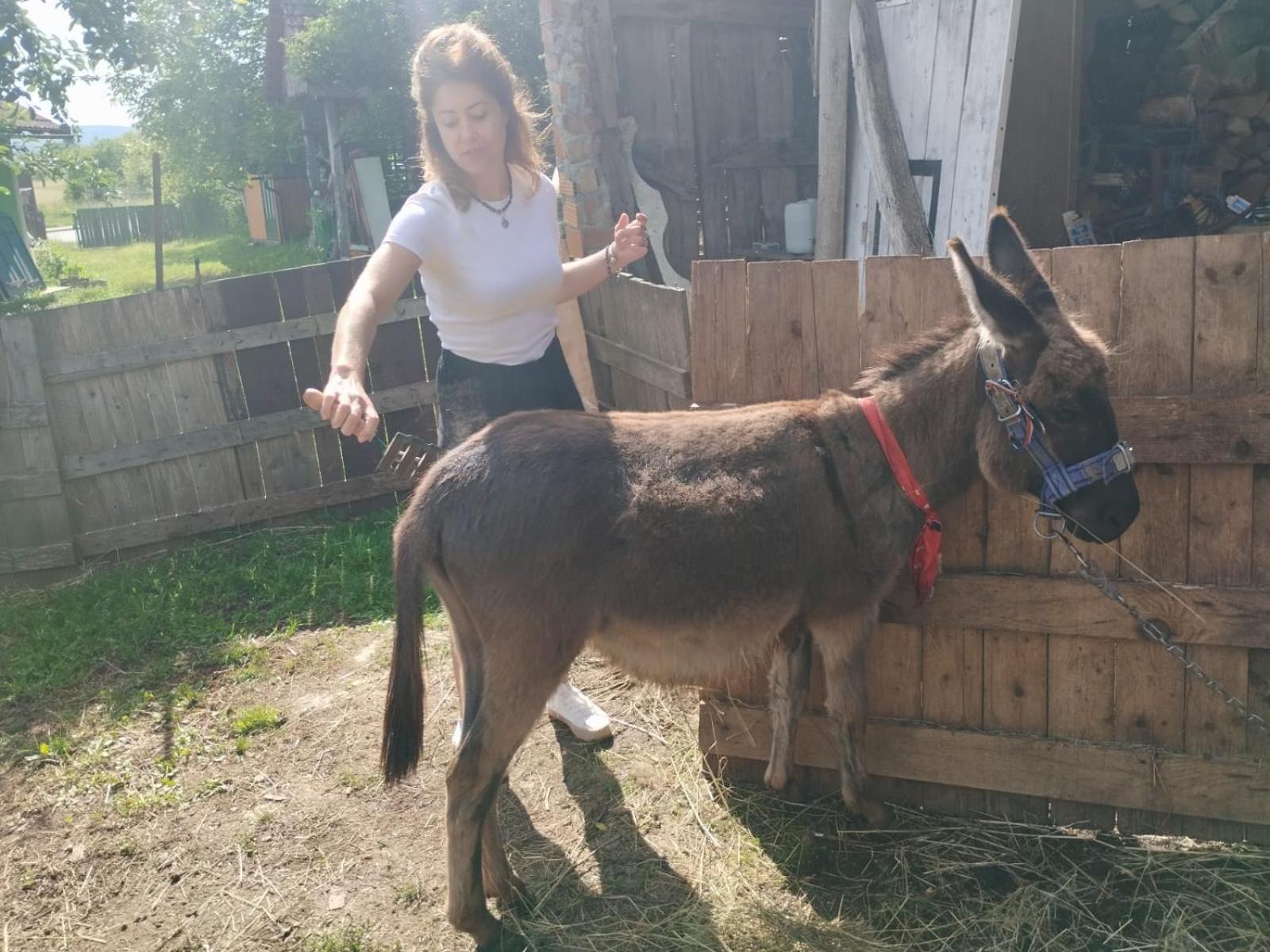 Ivona - Kuca Za Odmor Perusic - Stara Lika Apartment Exterior foto